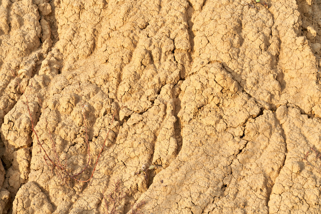 Australian Yellow Clay